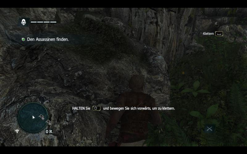 Assassin's Creed 4