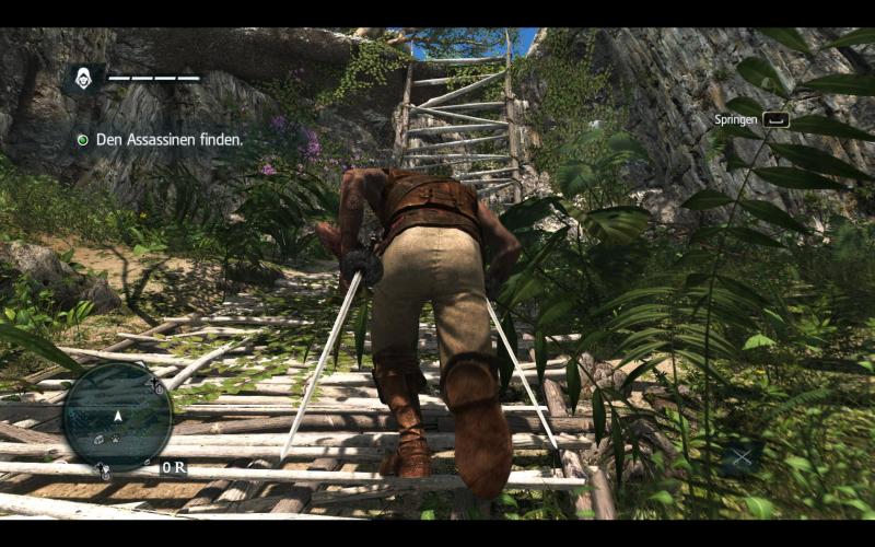 Assassin's Creed 4