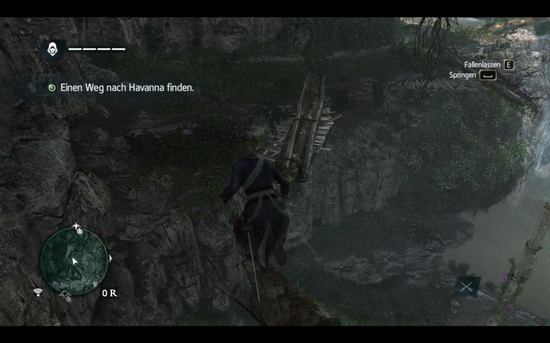 Assassin's Creed 4