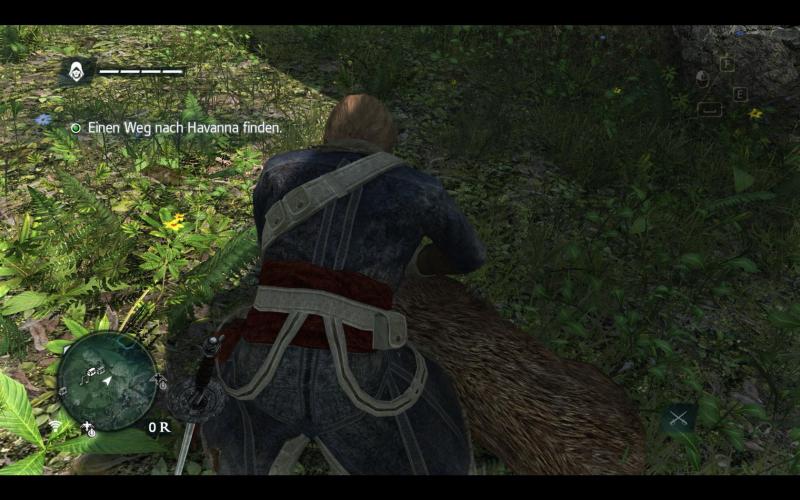 Assassin's Creed 4