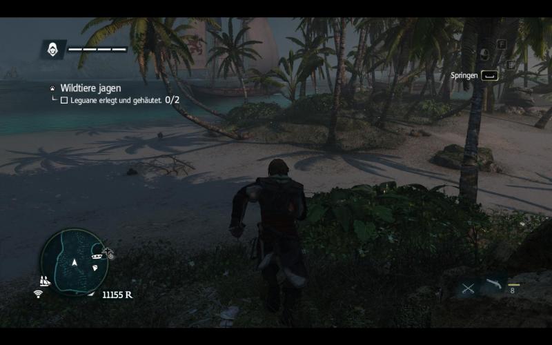 Assassin's Creed 4