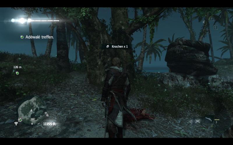 Assassin's Creed 4