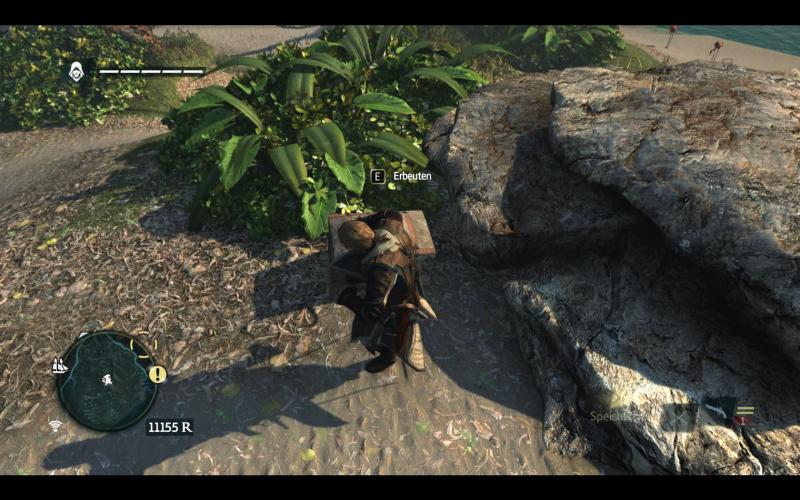 Assassin's Creed 4