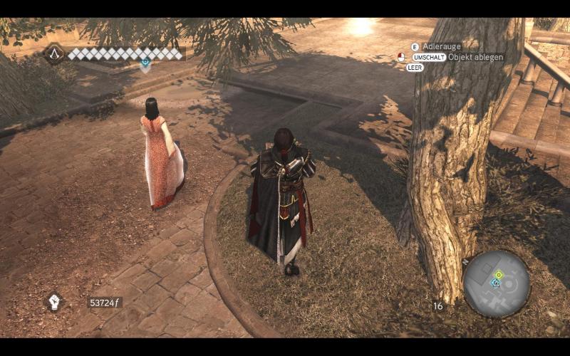 Assassin's Creed Brotherhood