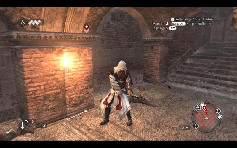 Assassin's Creed Brotherhood