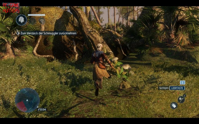 Assassin's Creed Liberation