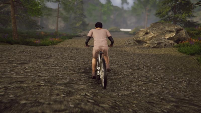 Bicycle Rider Simulator