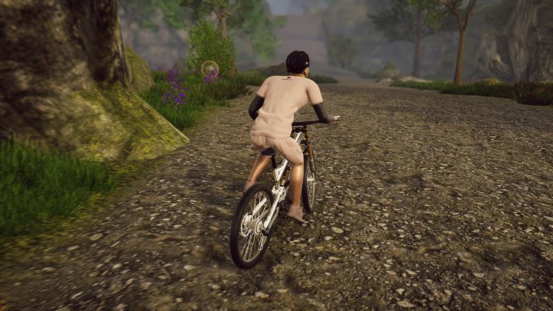 Bicycle Rider Simulator