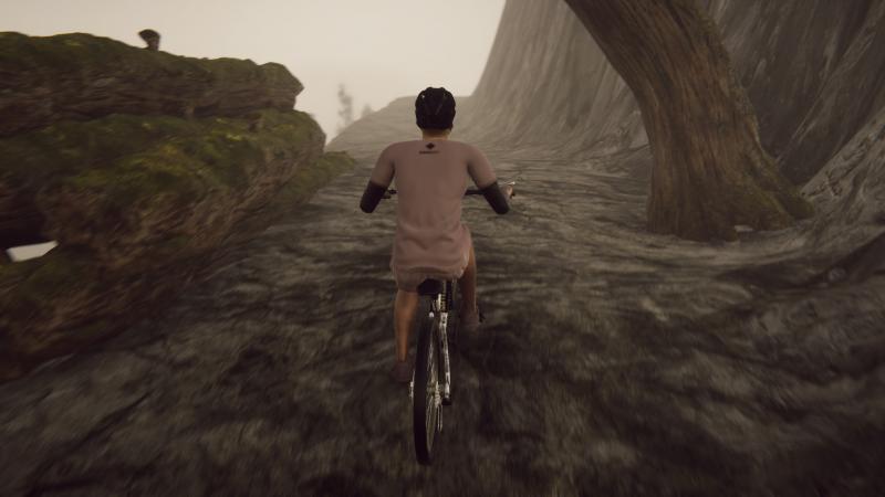 Bicycle Rider Simulator