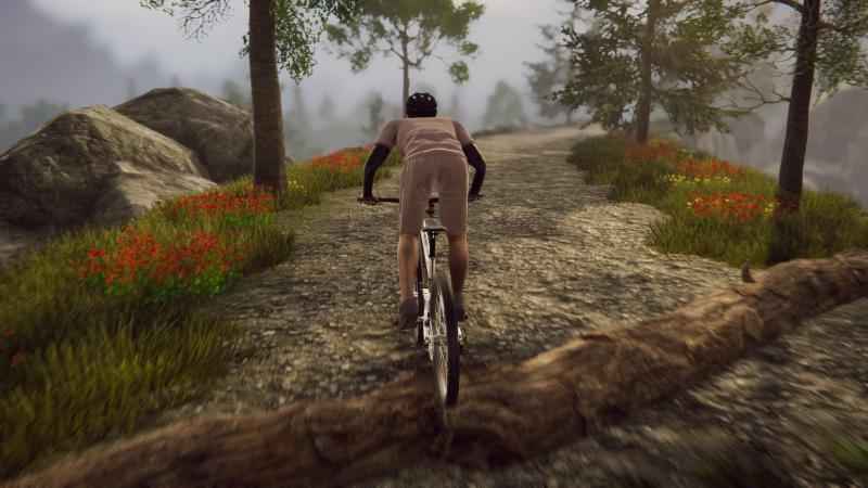 Bicycle Rider Simulator