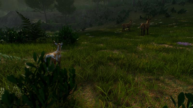 Deer Journey