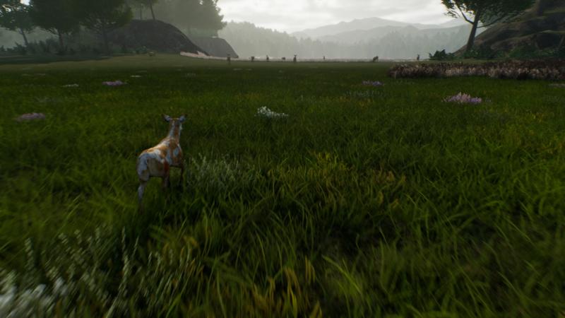 Deer Journey