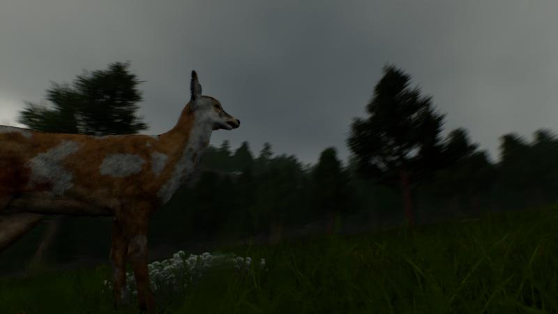 Deer Journey