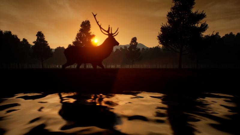 Deer Journey