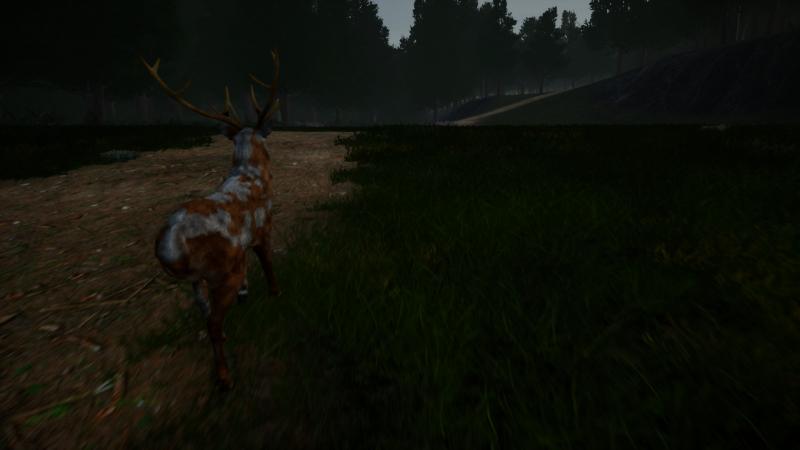 Deer Journey