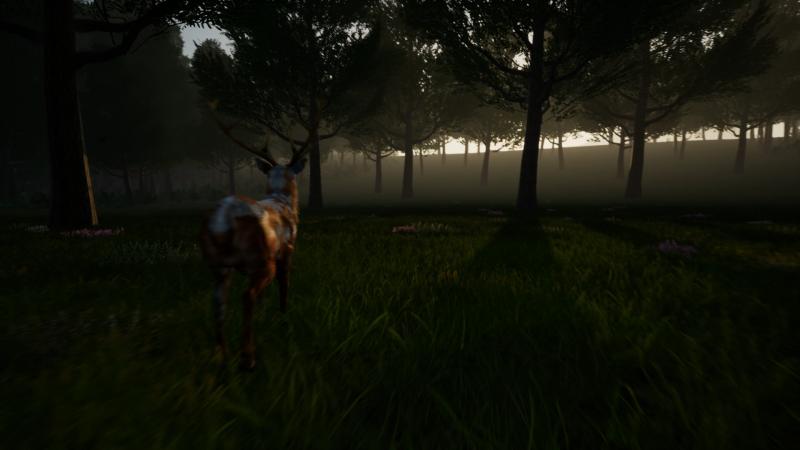 Deer Journey