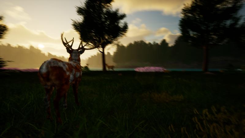 Deer Journey