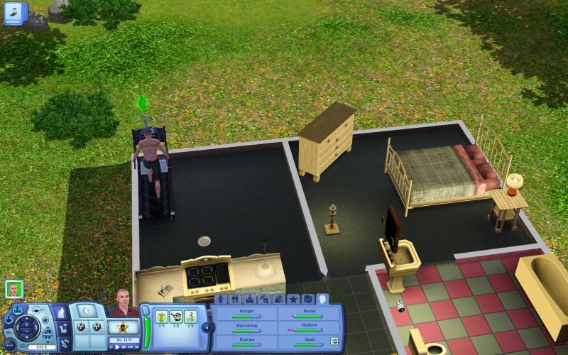 Die Sims 3