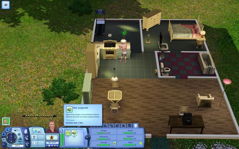 Die Sims 3