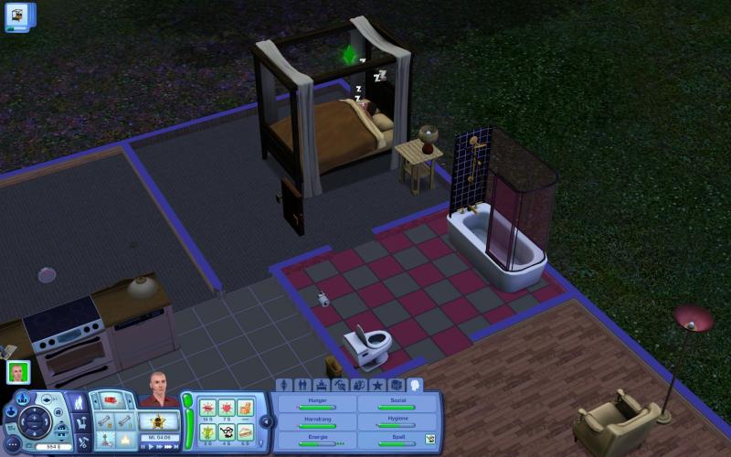 Die Sims 3