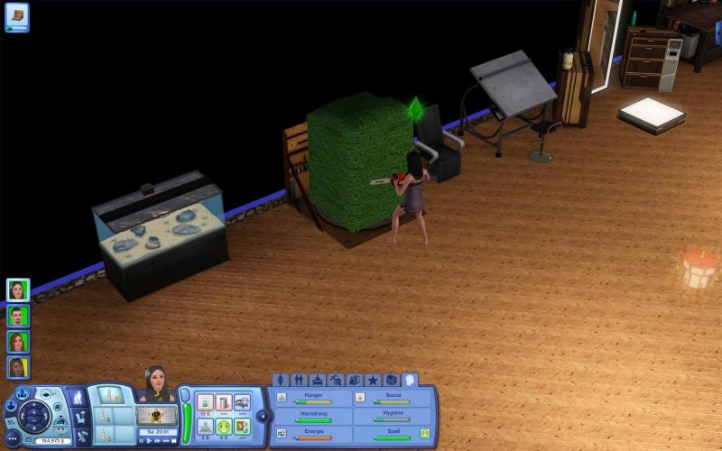 Die Sims 3 Traumkarrieren