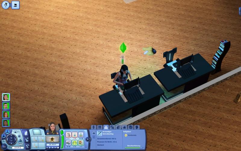 Die Sims 3 Traumkarrieren