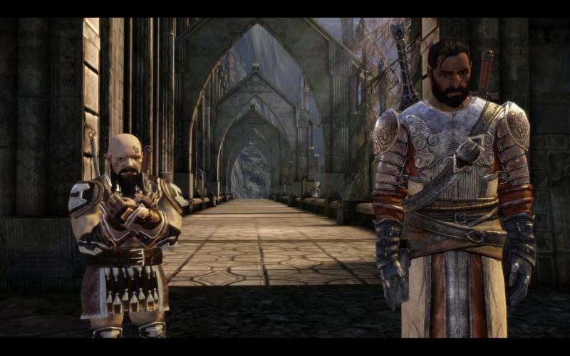 Dragon Age Origins