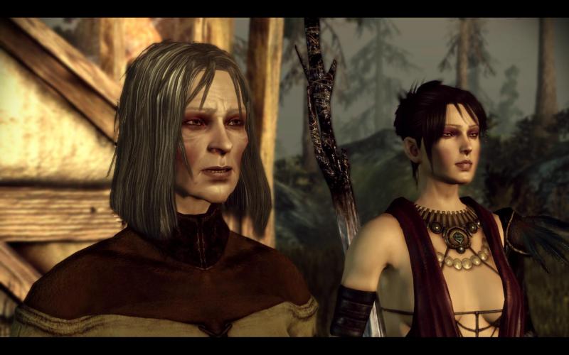 Dragon Age Origins