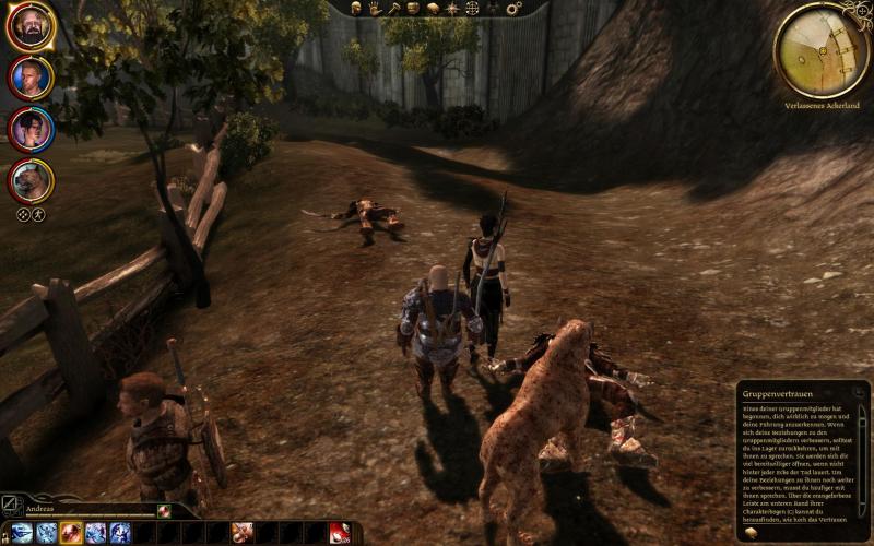 Dragon Age Origins