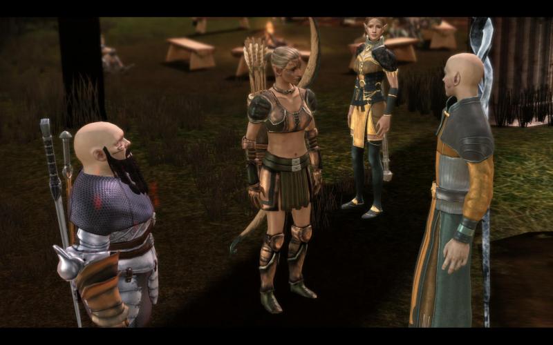 Dragon Age Origins