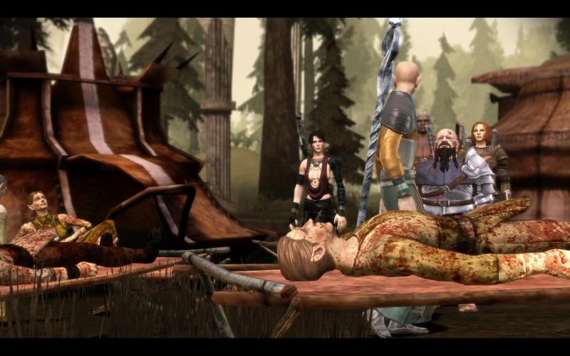 Dragon Age Origins