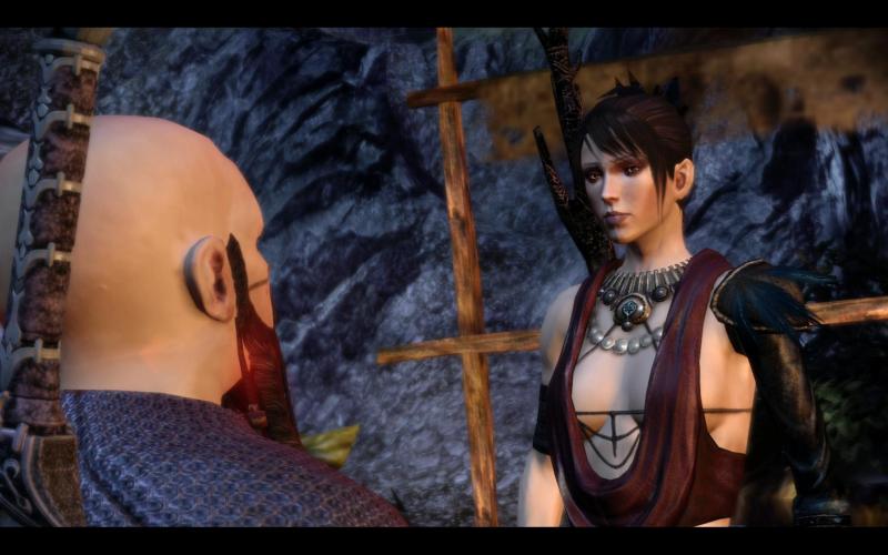 Dragon Age Origins