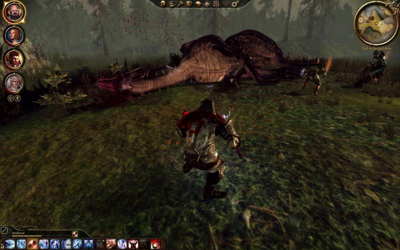 Dragon Age Origins