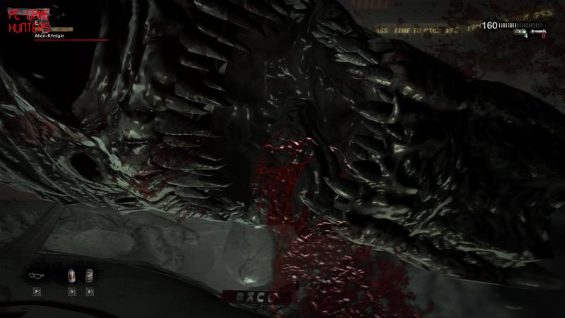 Duke Nukem Forever