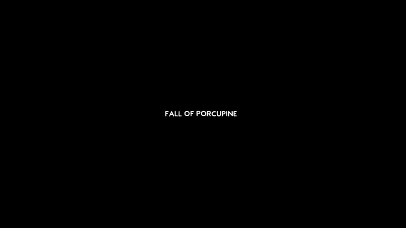 Fall of Porcupine