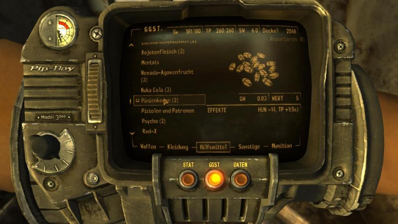 Fallout New Vegas