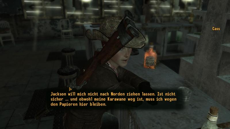 Fallout New Vegas