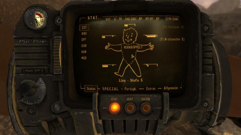 Fallout New Vegas