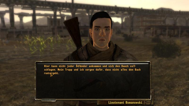 Fallout New Vegas