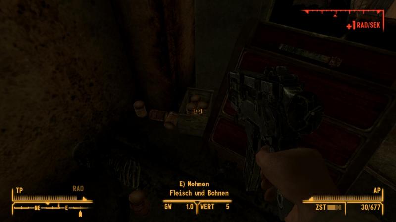 Fallout New Vegas