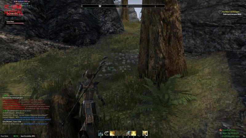 The Elder Scrolls Online