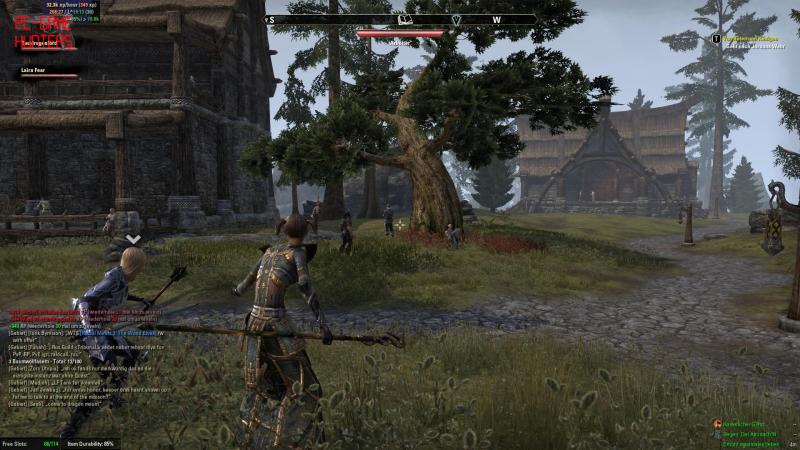 The Elder Scrolls Online