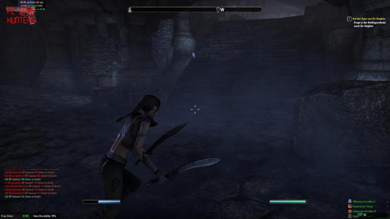 The Elder Scrolls Online