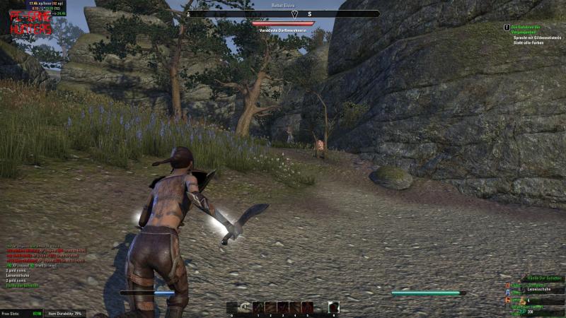 The Elder Scrolls Online