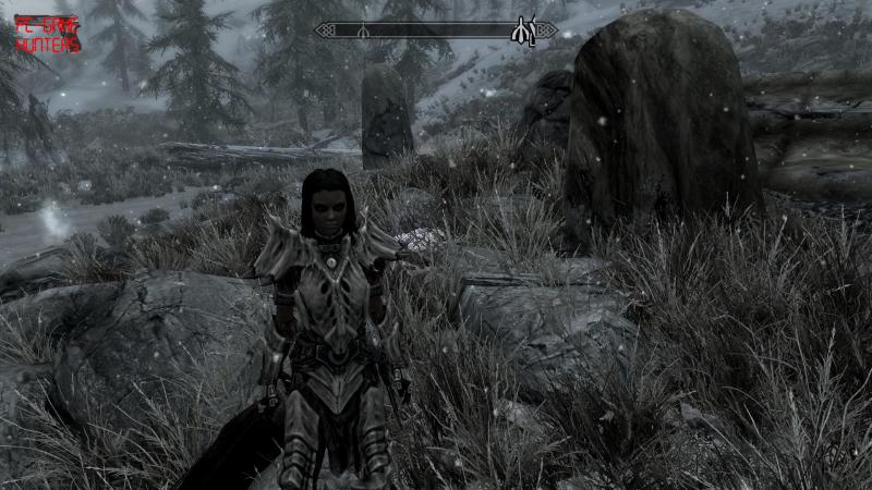 The Elder Scrolls V: Skyrim