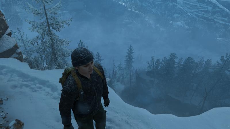 The Last of Us Part II