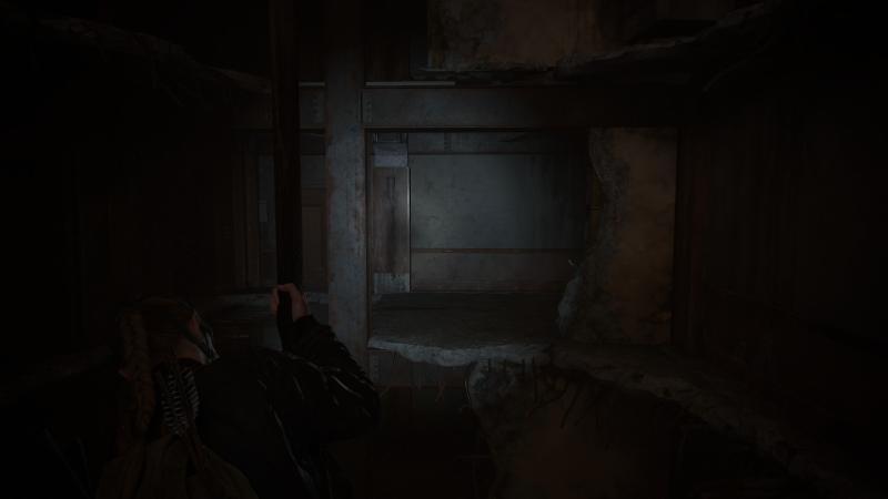 The Last of Us Part II